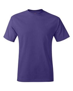 Hanes 5250 - Tagless® T-Shirt